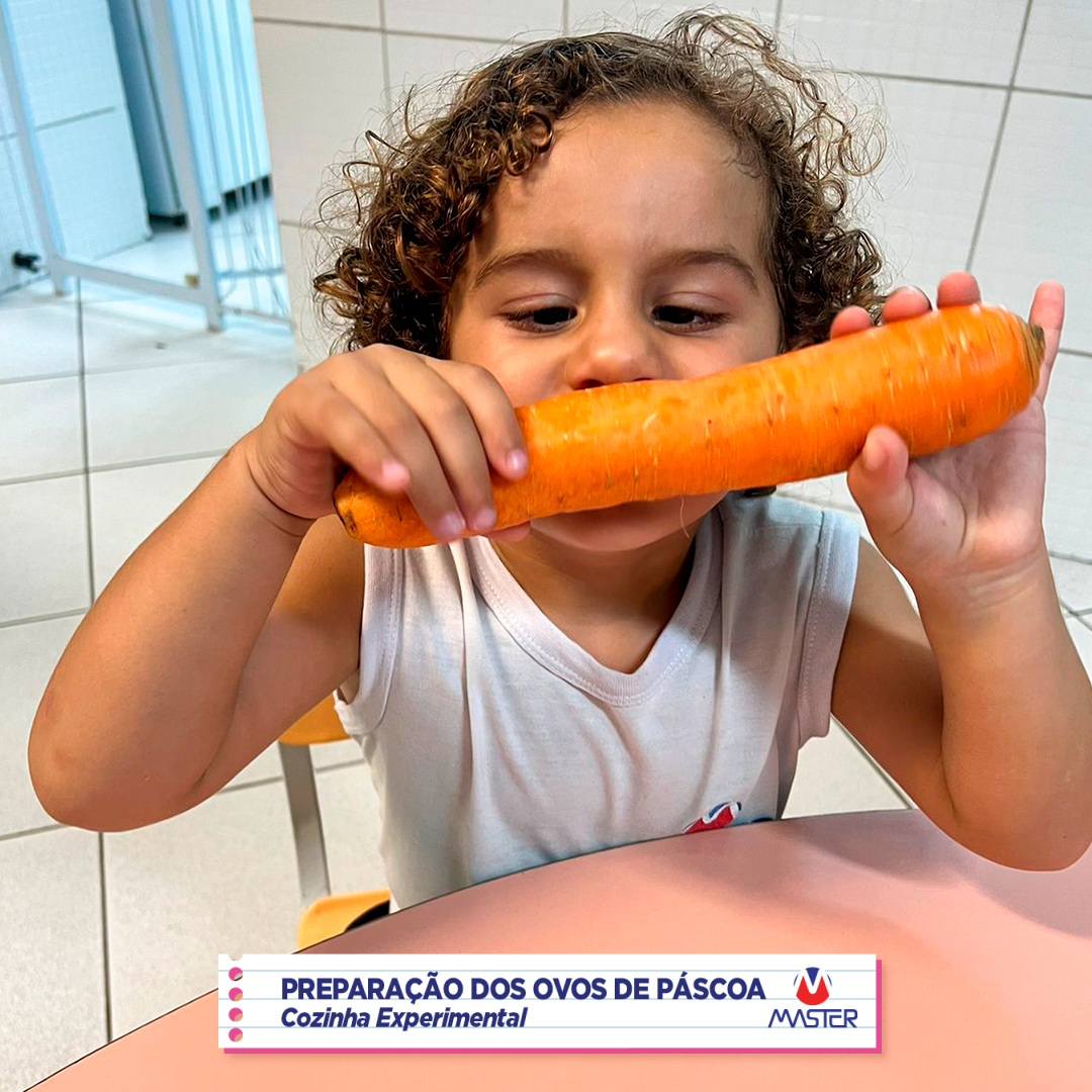 WhatsApp Image 2023-04-04 at 12.48.09