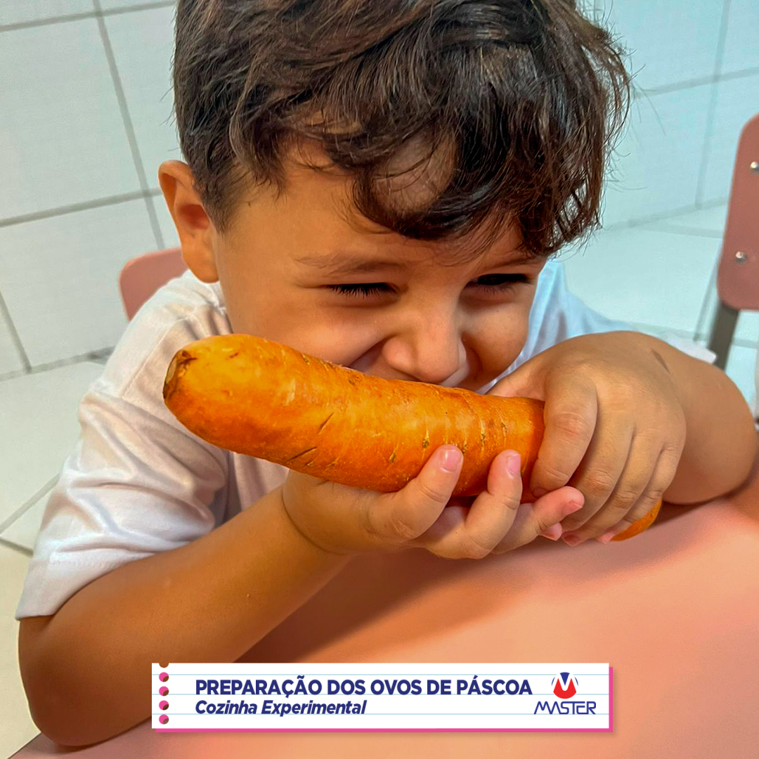 WhatsApp Image 2023-04-04 at 12.48.11