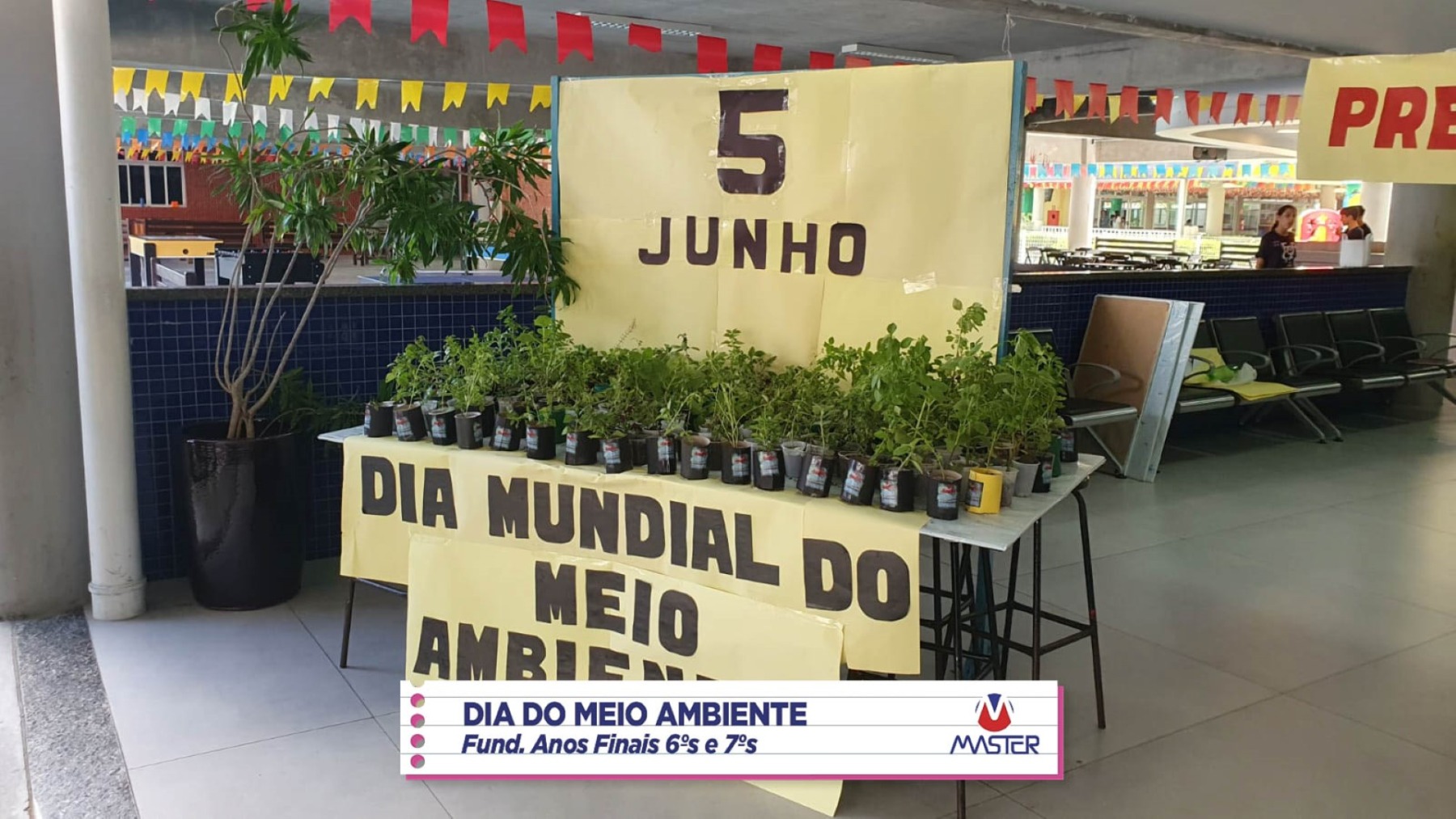 WhatsApp Image 2023-06-05 at 10.46.31 WhatsApp Image 2023-06-05 at 10.46.31