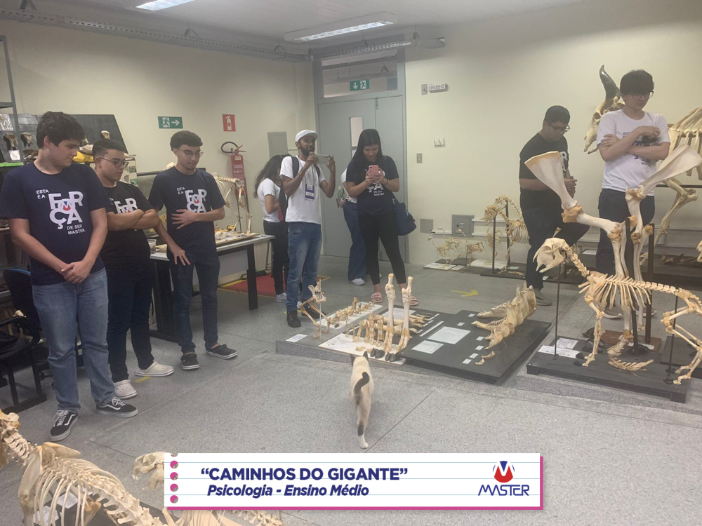 WhatsApp Image 2023-08-07 at 08.17.53 WhatsApp Image 2023-08-07 at 08.17.53