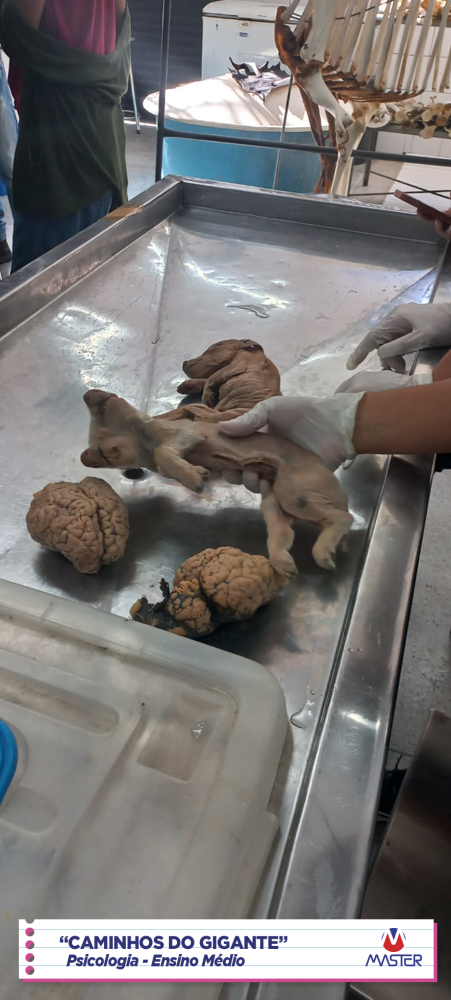 WhatsApp Image 2023-08-07 at 08.18.45 (1) WhatsApp Image 2023-08-07 at 08.18.45 (1)