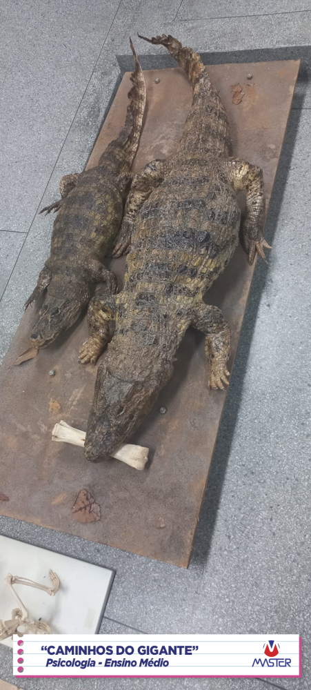 WhatsApp Image 2023-08-07 at 08.18.45 (3) WhatsApp Image 2023-08-07 at 08.18.45 (3)