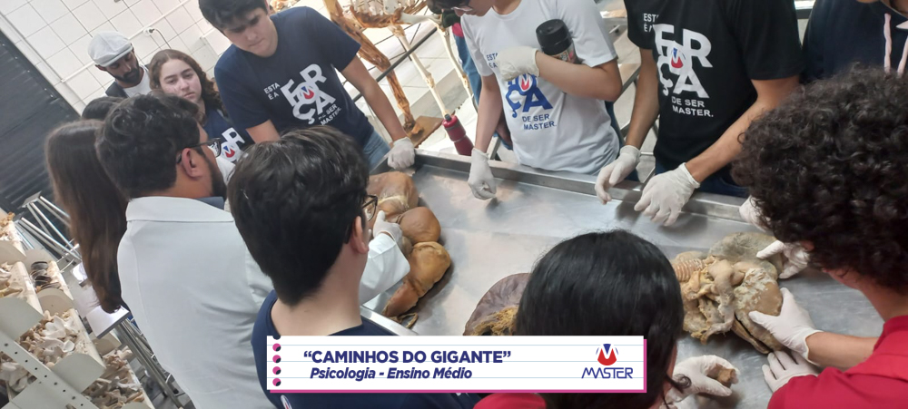 WhatsApp Image 2023-08-07 at 08.18.45 WhatsApp Image 2023-08-07 at 08.18.45