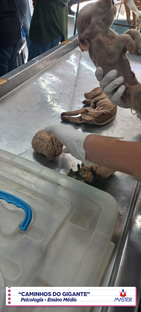 WhatsApp Image 2023-08-07 at 08.18.46 (2) WhatsApp Image 2023-08-07 at 08.18.46 (2)