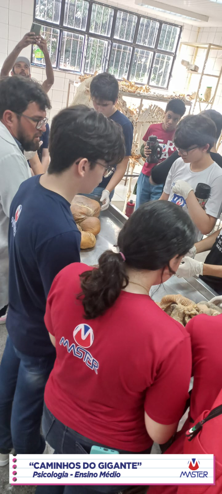 WhatsApp Image 2023-08-07 at 08.18.47 WhatsApp Image 2023-08-07 at 08.18.47