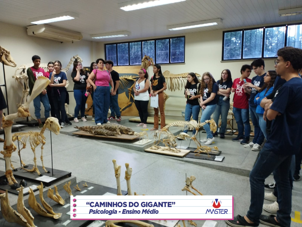 WhatsApp Image 2023-08-07 at 09.17.28 WhatsApp Image 2023-08-07 at 09.17.28