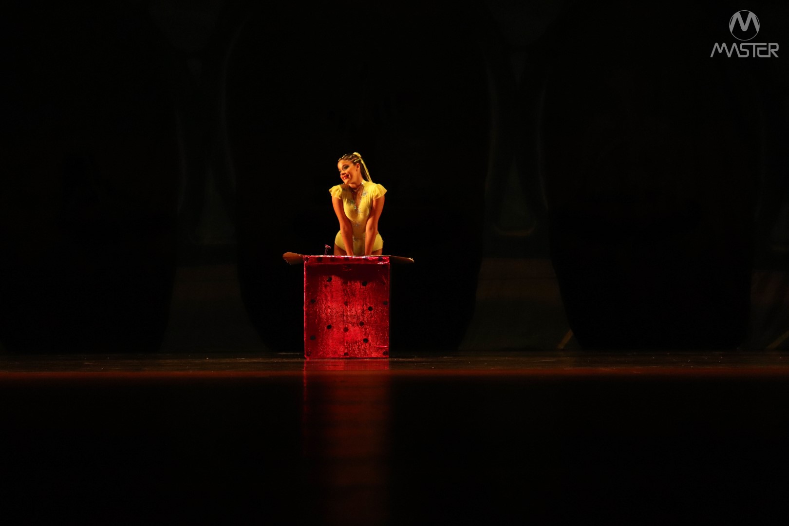 Espetáculo de Dança_Vagner (231)