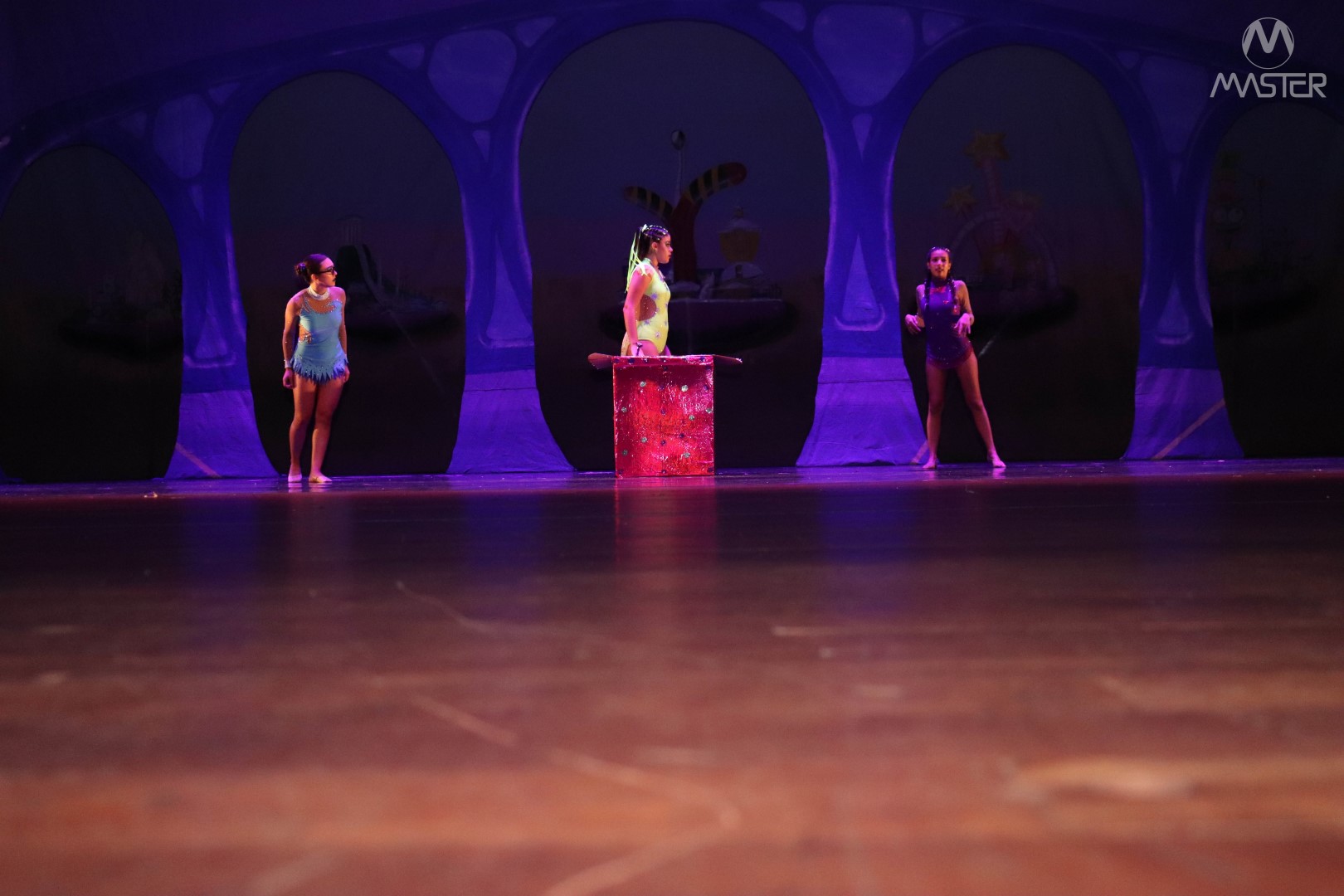 Espetáculo de Dança_Vagner (235)