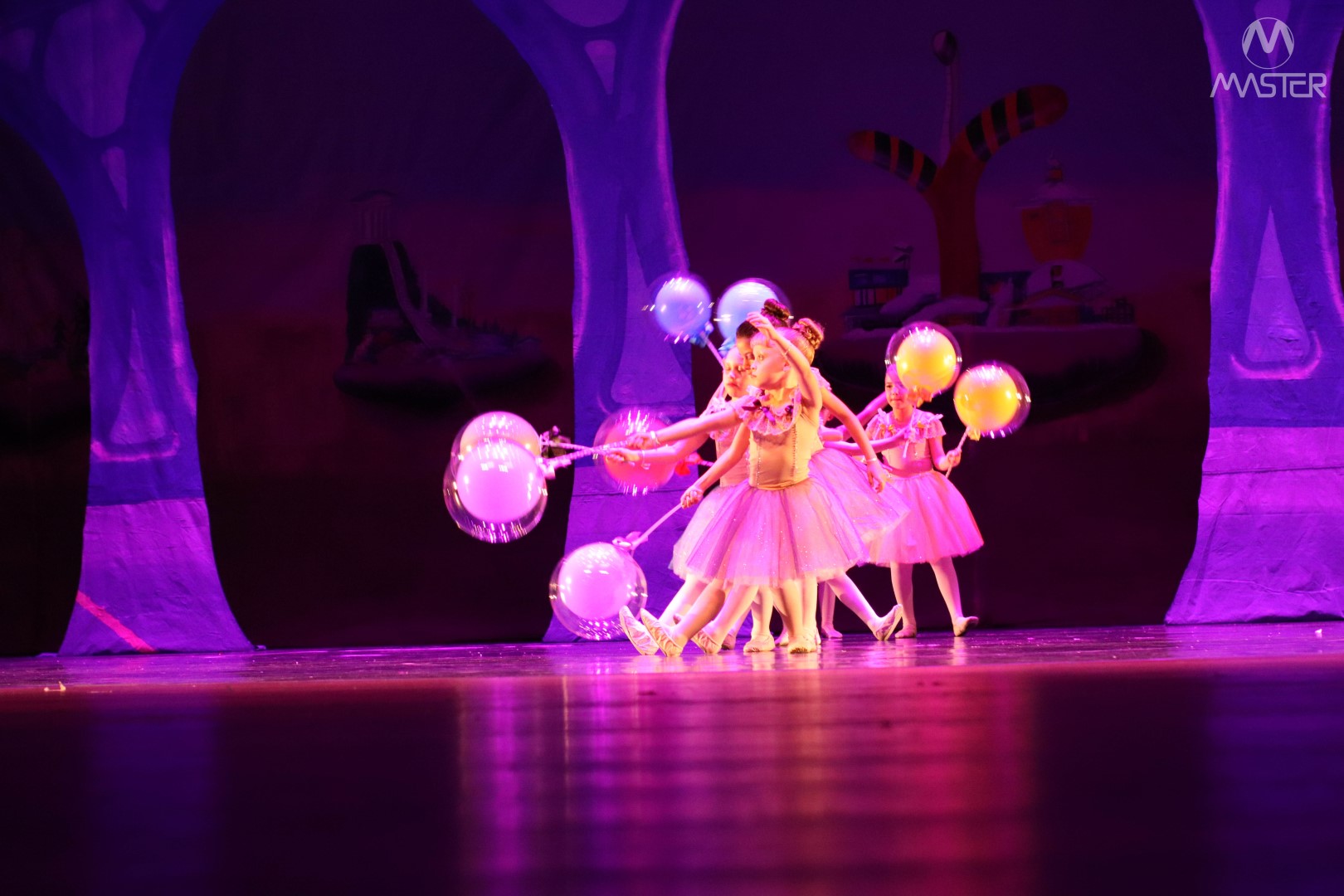 Espetáculo de Dança_Vagner (266)