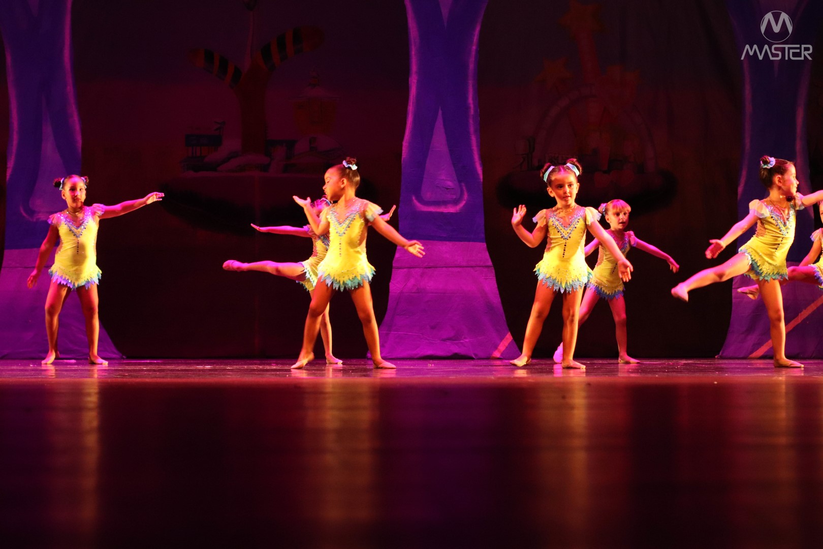 Espetáculo de Dança_Vagner (314)