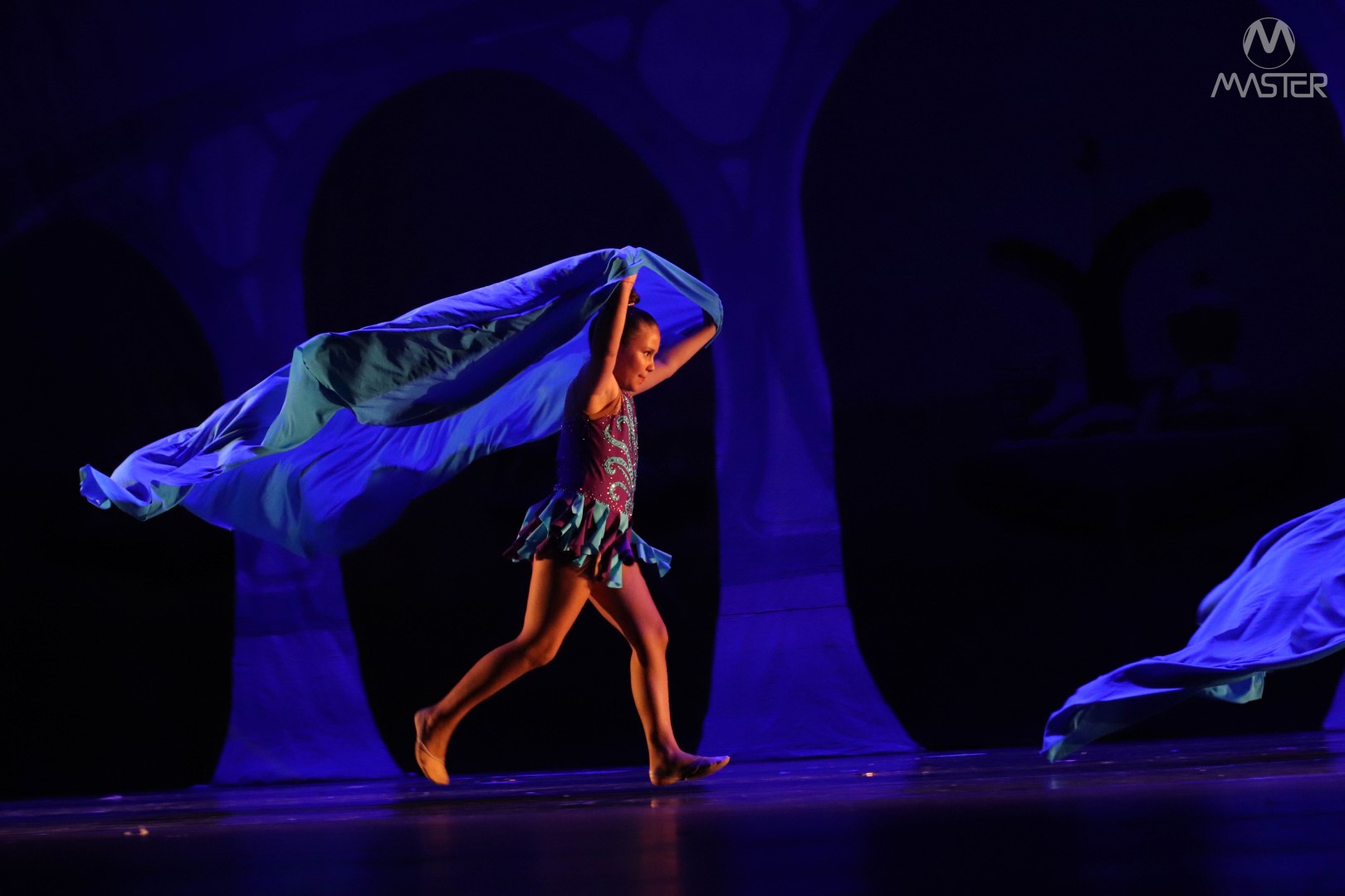 Espetáculo de Dança_Vagner (336)