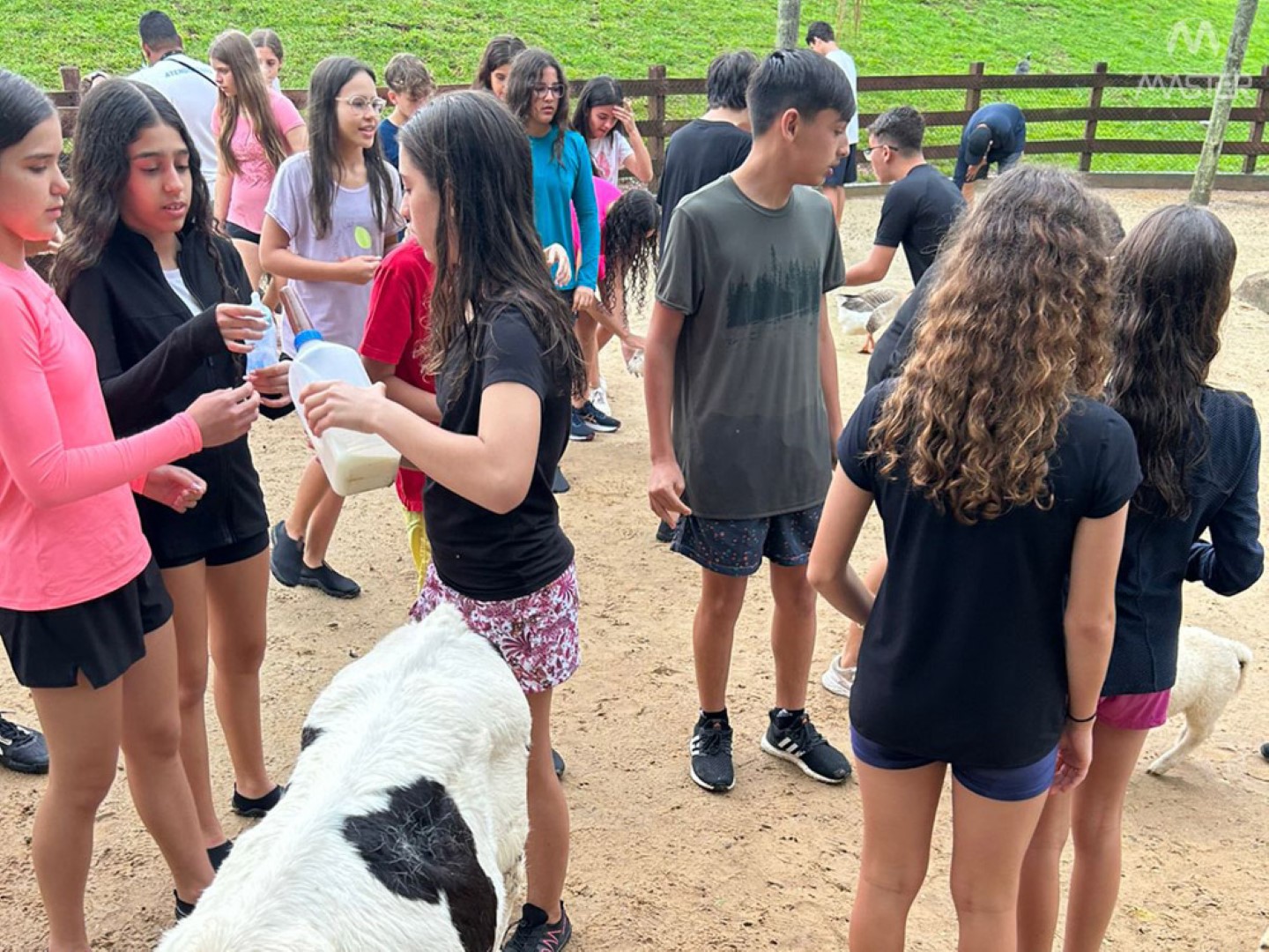 WhatsApp Image 2023-10-12 at 18.07.47 WhatsApp Image 2023-10-12 at 18.07.47