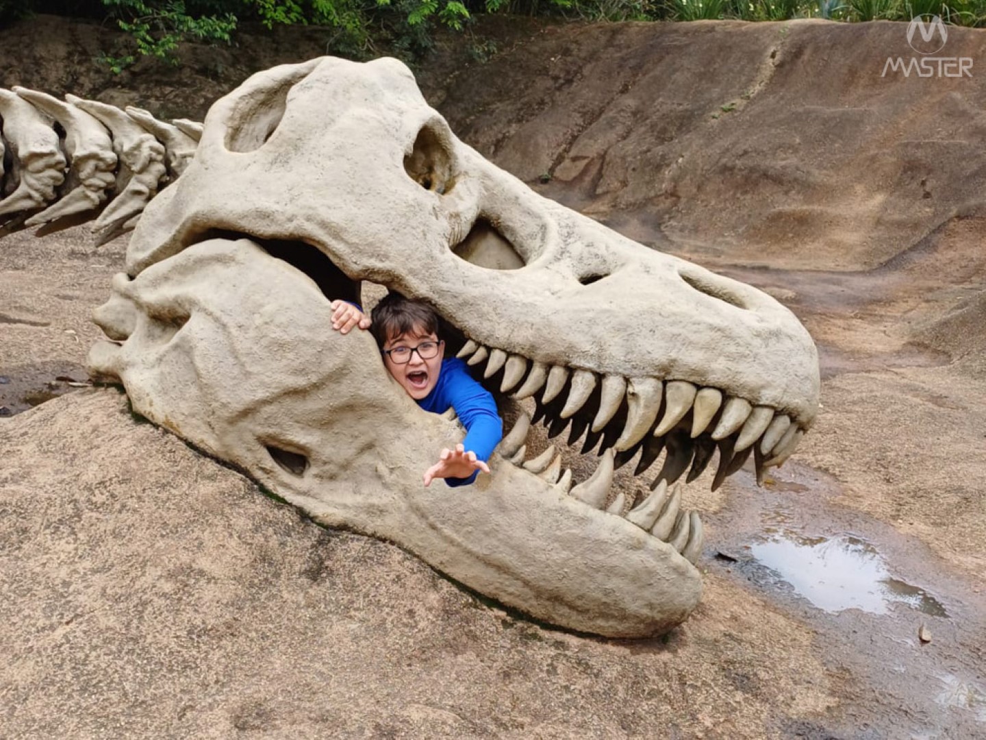 WhatsApp Image 2023-10-13 at 12.56.41 WhatsApp Image 2023-10-13 at 12.56.41