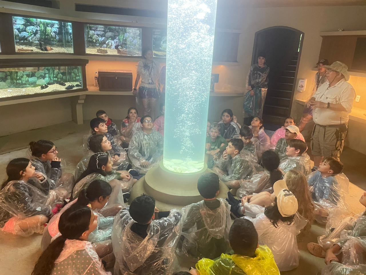 WhatsApp Image 2023-11-03 at 18.14.47