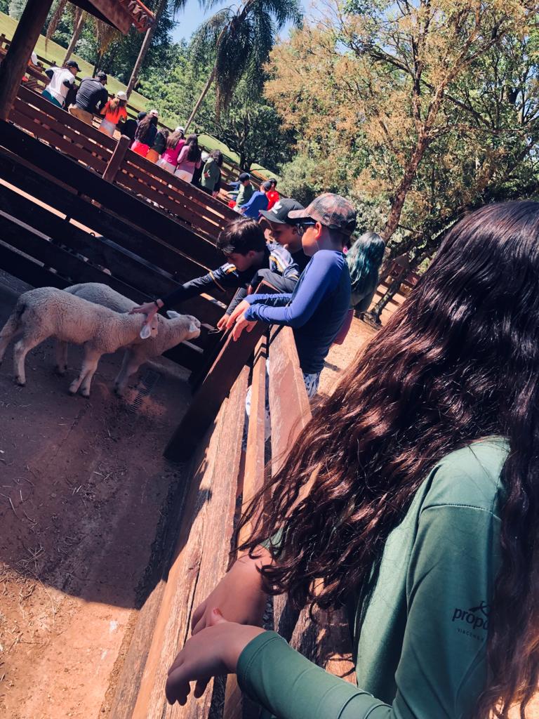 WhatsApp Image 2023-11-04 at 15.12.29