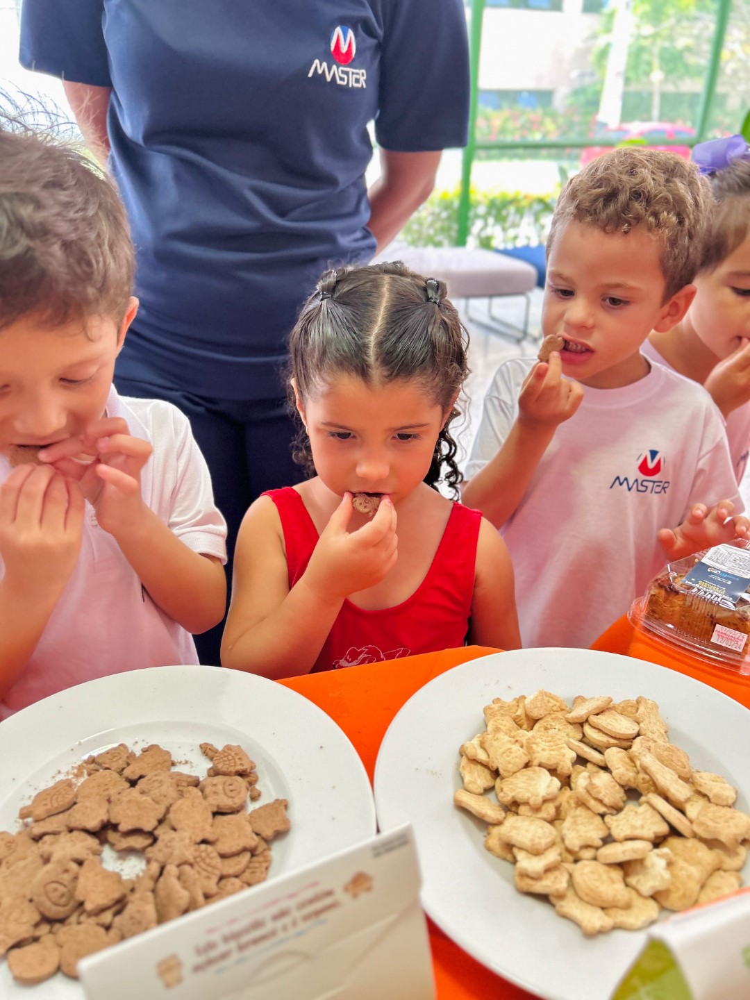 nutrição (2) nutrição (2)