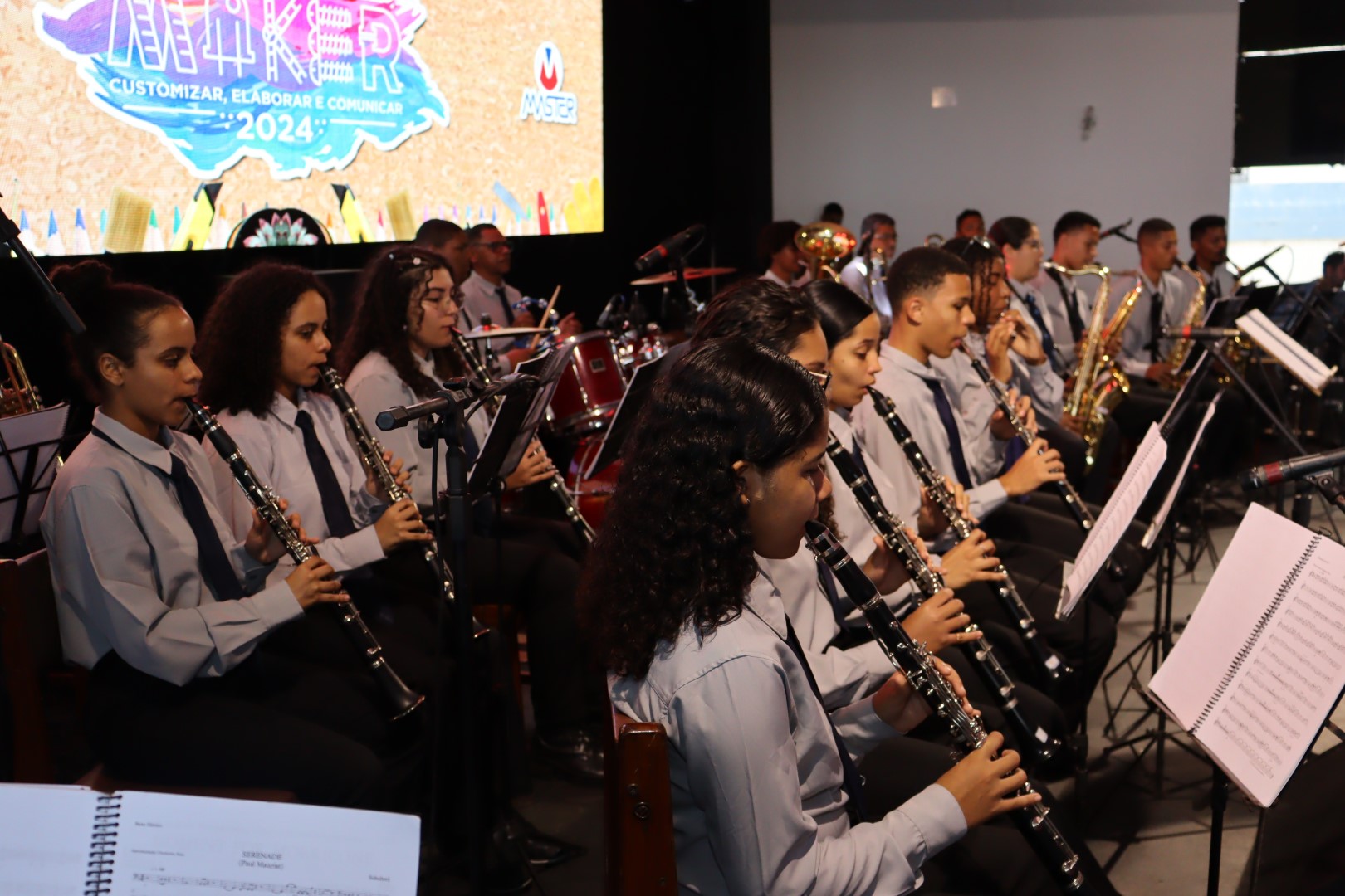 Festival de Artes 2024 (9) Festival de Artes 2024 (9)