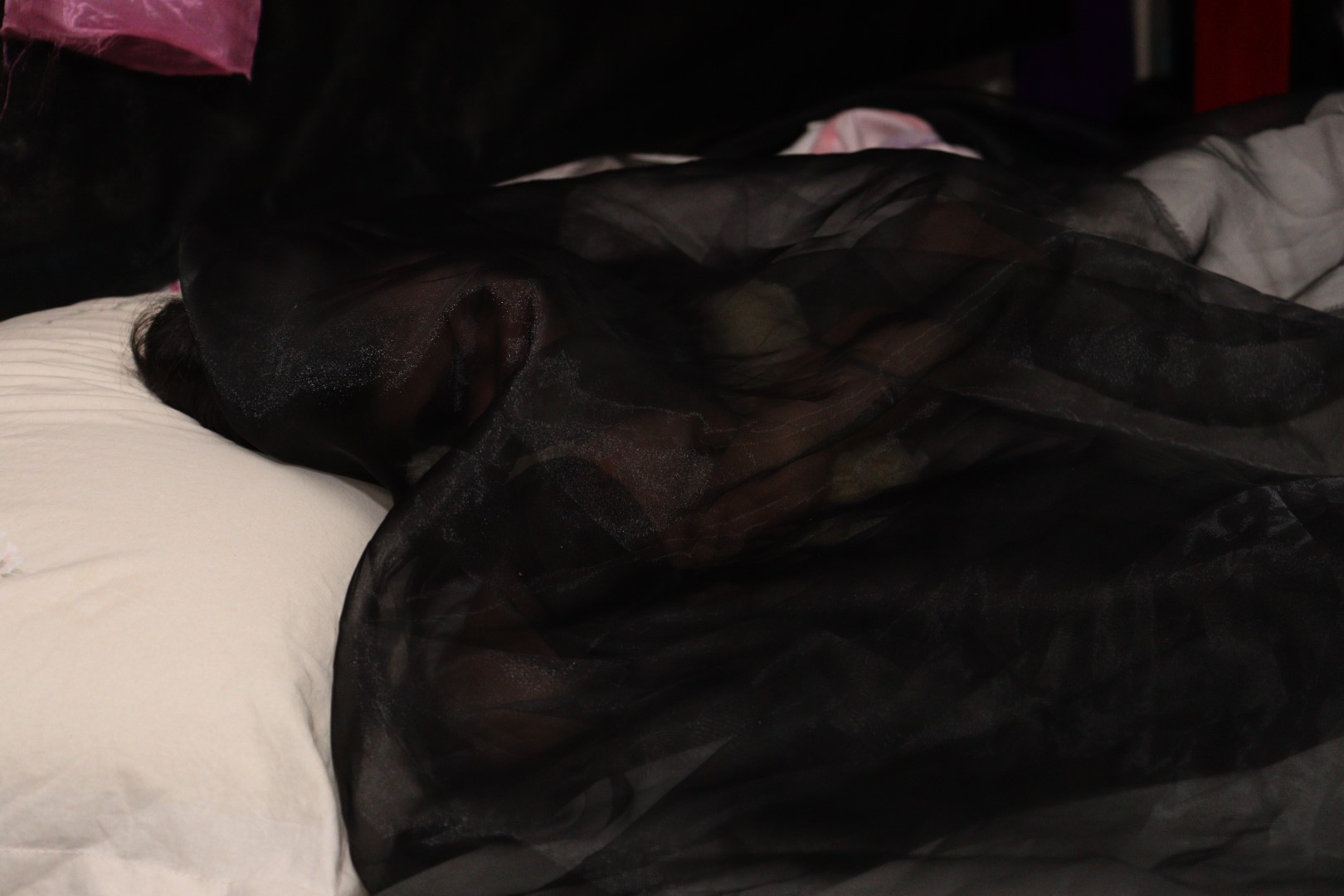 Halloween (196) Halloween (196)