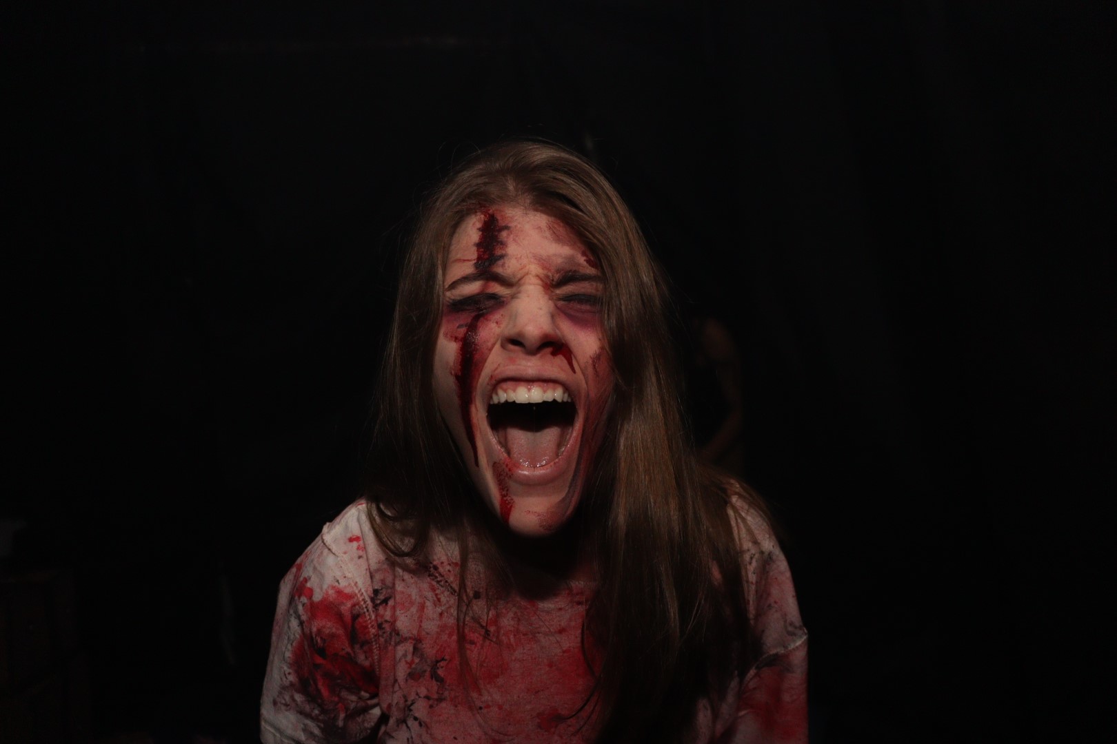 Halloween (263) Halloween (263)