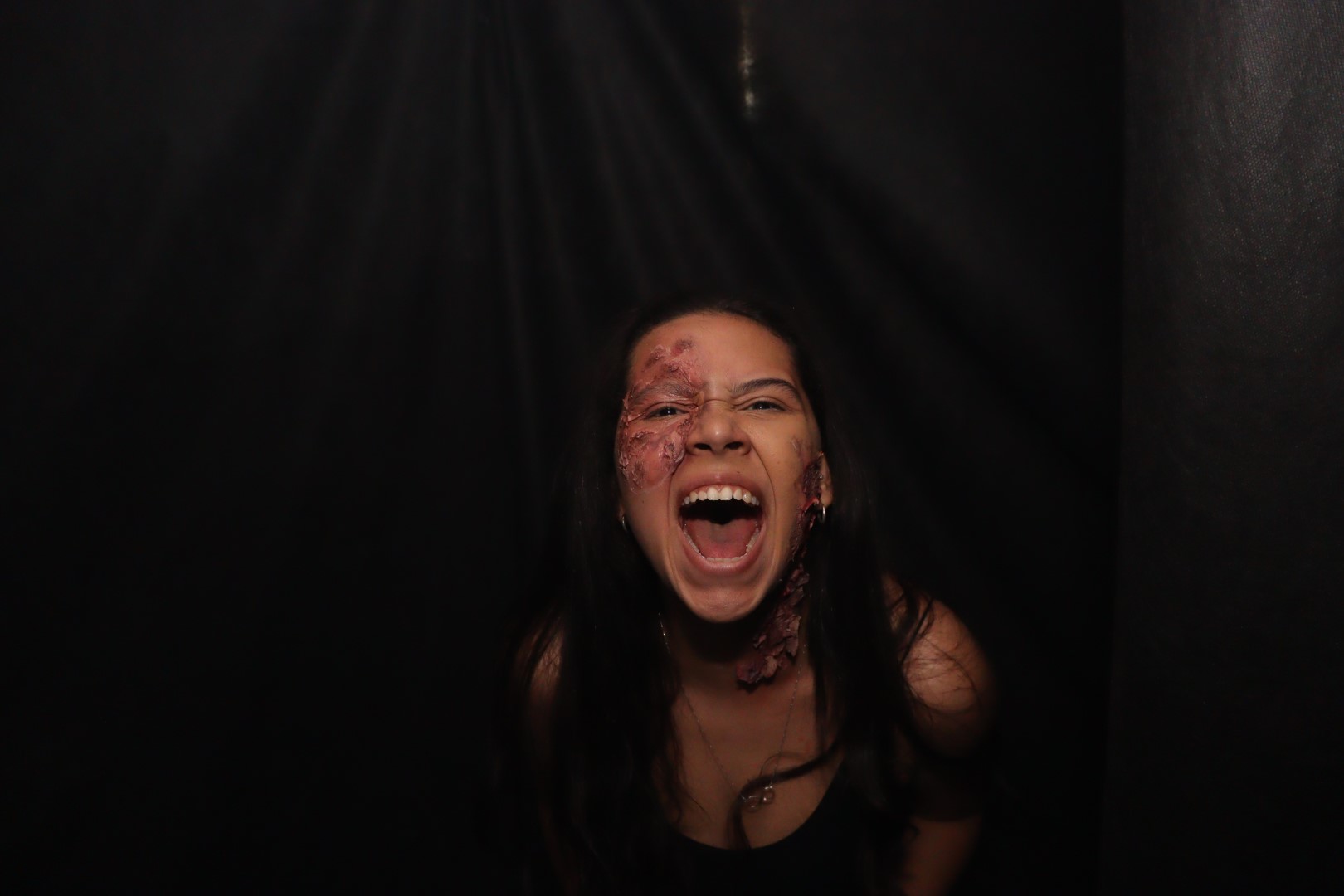 Halloween (267) Halloween (267)