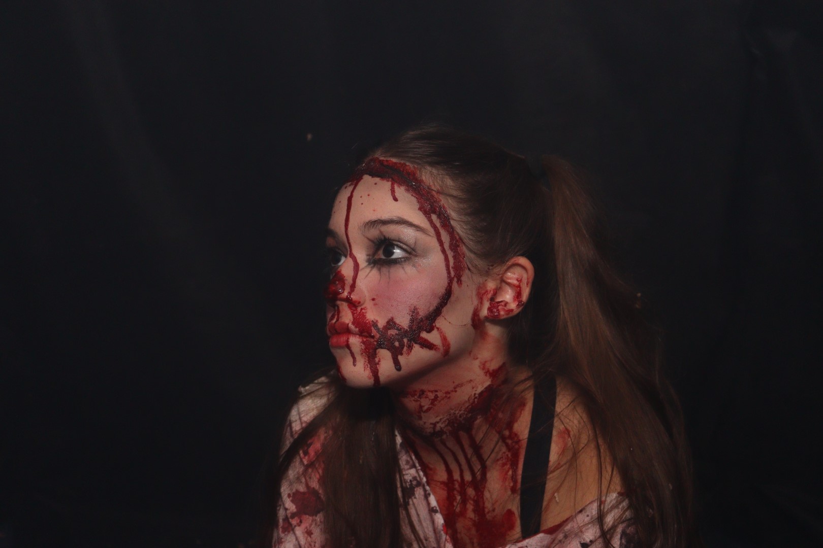 Halloween (284) Halloween (284)