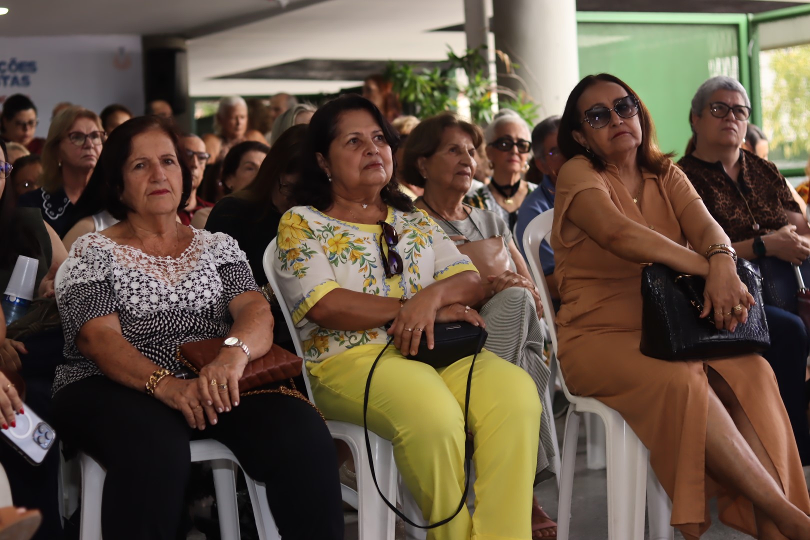 IMG_4864 (Grande) IMG_4864 (Grande)