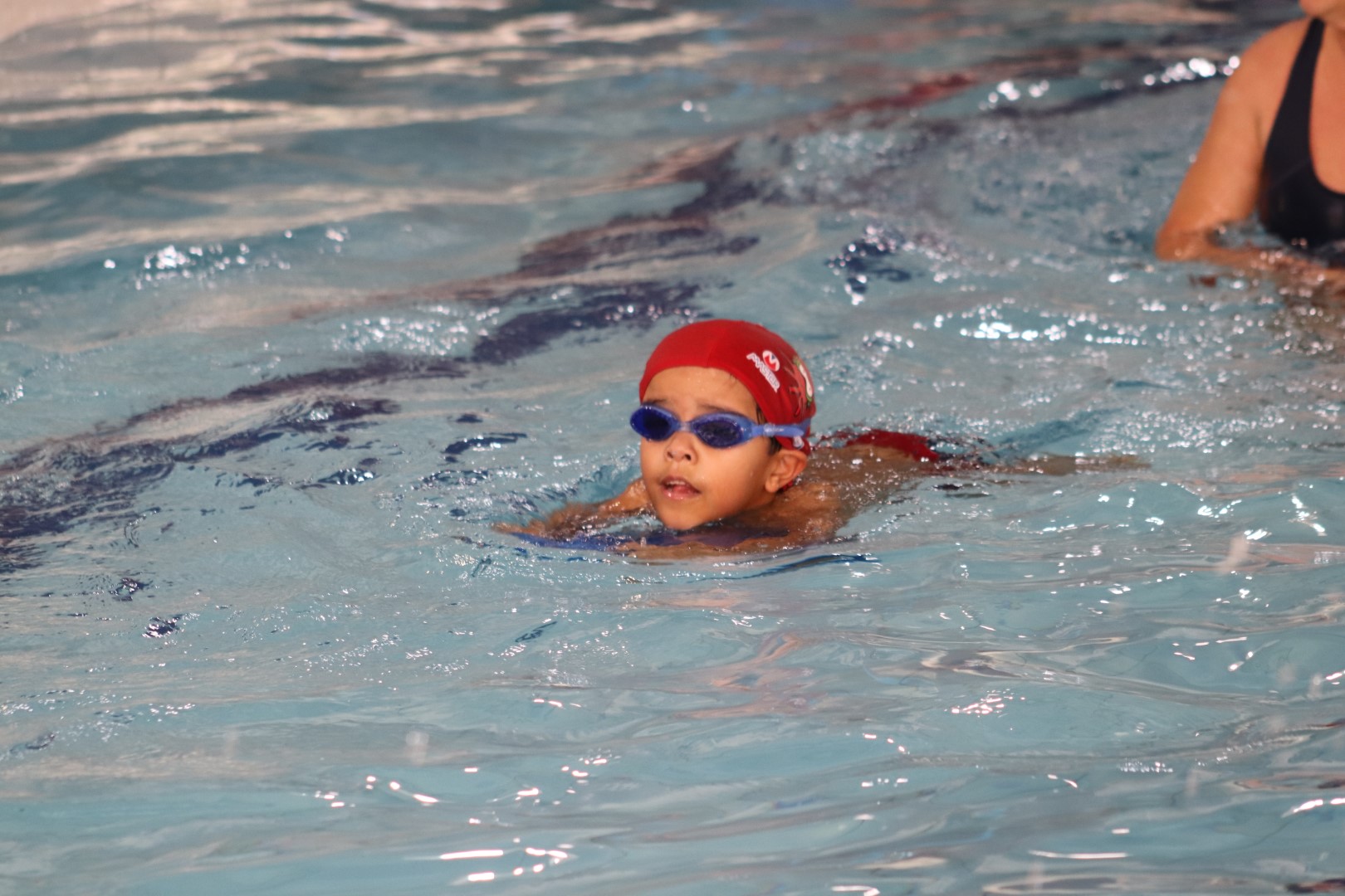IMG_4980 IMG_4980