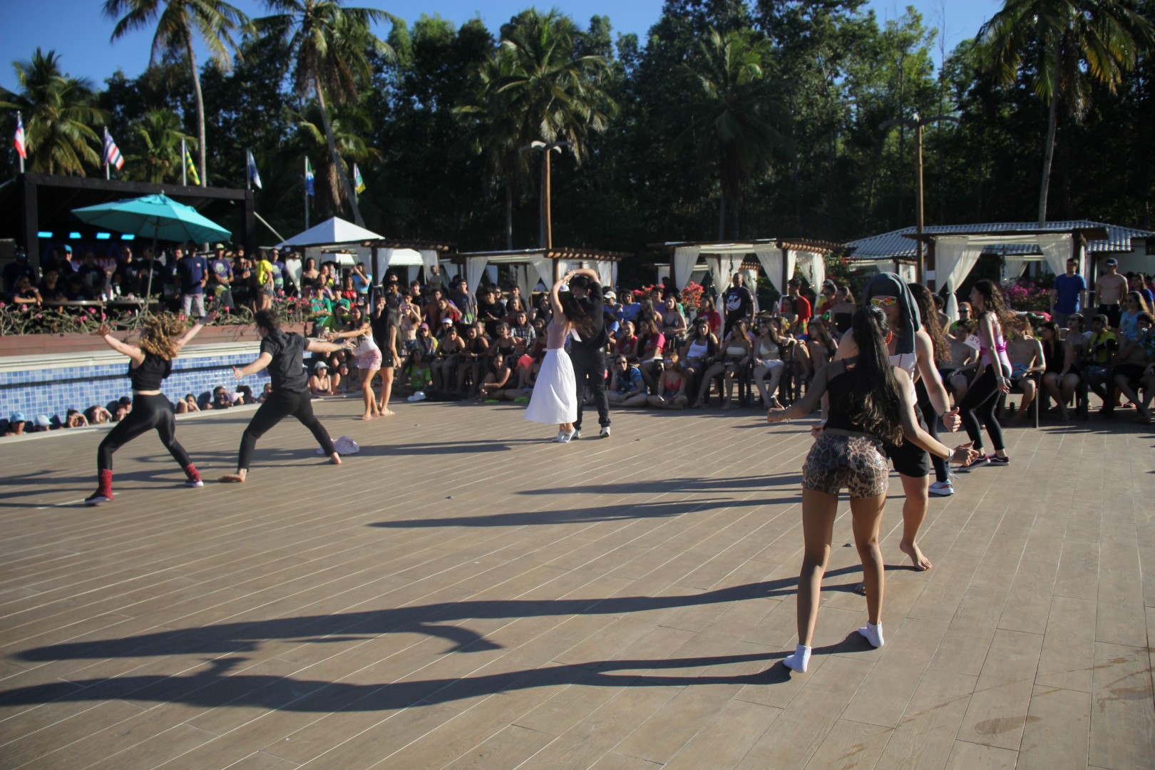 IMG_1049 IMG_1049